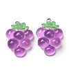Fruit Theme Opaque Resin Imitation Food Pendants RE-CBA49A8-04G-1