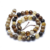 Natural Striped Agate/Banded Agate Beads G-J371-14-14mm-2