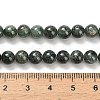 Natural Green Kyanite Beads Strands G-H335-B02-6mm-AB-5