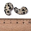 Natural Dalmatian Jasper Pendants G-S294-07B-13-3