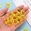 Transparent Acrylic Pendants LS-TACR-T024-05B-916-5
