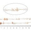 Handmade Natural Shell & ABS Imitation Beaded Chains CHS-F025-13G-04-3