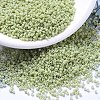 MIYUKI Delica Beads X-SEED-J020-DB2123-1