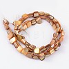 Natural Sea Shell Beads S00C50N2-2