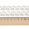 Electroplated Shell Pearl Beads Strands BSHE-G027-13C-5