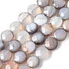 Natural Grey Botswana Agate Beads Strands G-C179-A50-03-2