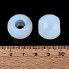 Opalite Beads G-Q608-05T-4