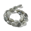 Natural Labradorite Beads Strands X-G-L164-A-34-3