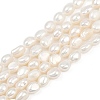 Natural Cultured Freshwater Pearl Beads Strands PEAR-P064-20H-06A-2