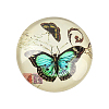 Butterfly Printed Glass Half Round/Dome Cabochons X-GGLA-N004-25mm-C-2