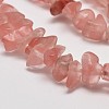 Cherry Quartz Glass Chip Beads Strands X-G-L269-41-2