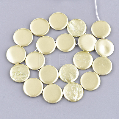 Shell Pearl Beads Strands X-SSHEL-T007-22E-1