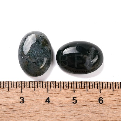 Natural Moss Agate Cabochons G-B085-06F-02-1