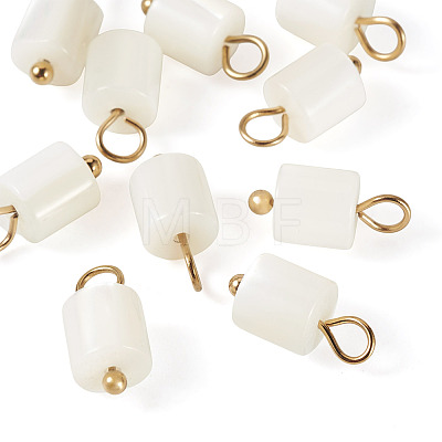 10Pcs Natural Shell Column Charms SHEL-TA0001-38-1