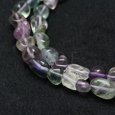 Natural Fluorite Beads Strands G-F521-48-1