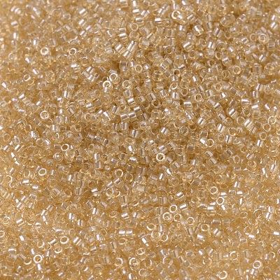 MIYUKI Delica Beads SEED-X0054-DB0101-1
