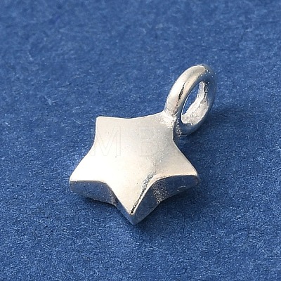 925 Sterling Silver Charms LS-FIND-U013-06S-02-1