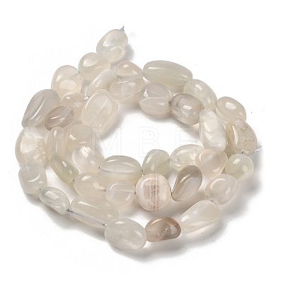 Natural White Moonstone Beads Strands G-P497-01E-69C-1