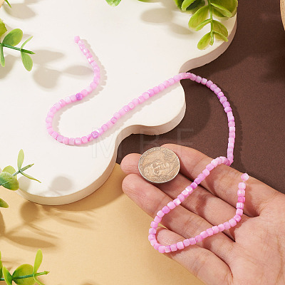 1 Strand Natural Freshwater Shell Dyed Beads Strands SHEL-TA0001-44B-1