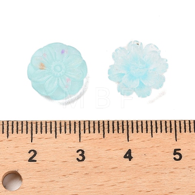 Luminous Resin Decoden Cabochons RESI-K036-05B-1