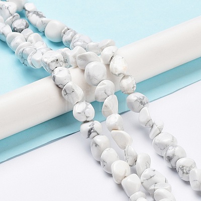 Natural Howlite Beads Strands G-K337-06-1