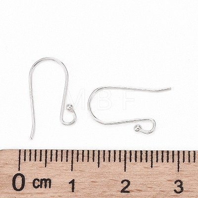 925 Sterling Silver Earring Hooks STER-G011-20-1