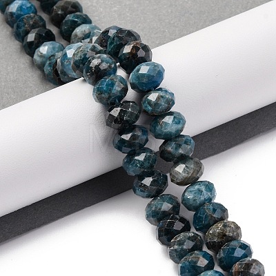 Natural Apatite Beads Strands G-K380-A51-02-1