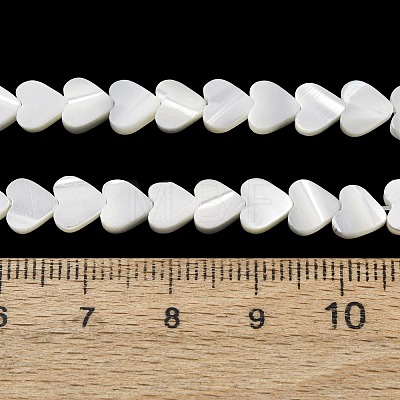 Natural Trochid Shell/Trochus Shell Beads Strands SH-CBA2978-19A-1