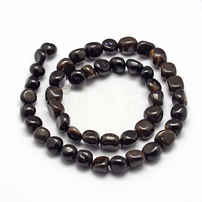 Natural Black Petrified Wood Beads Strands G-F464-06-1