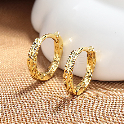 Twist Brass Hoop Earrings FS-WGA7E60-02-1