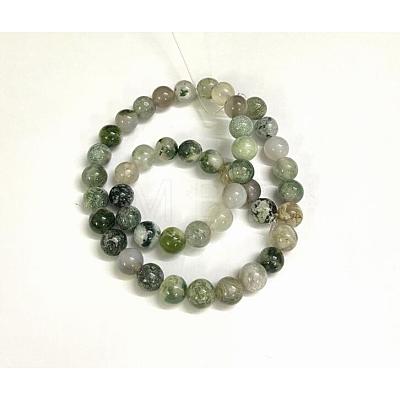Natural Tree Agate Round Gemstone Beads Strands G-R255-8mm-1