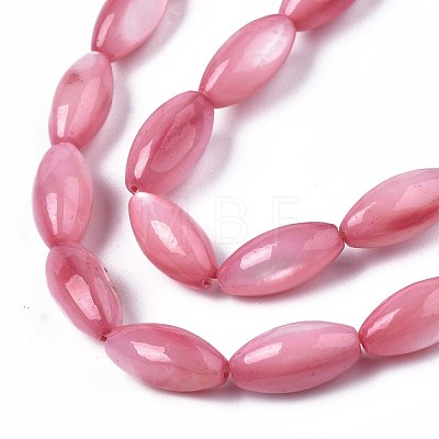 Natural Freshwater Shell Beads SHEL-R047-02D-1