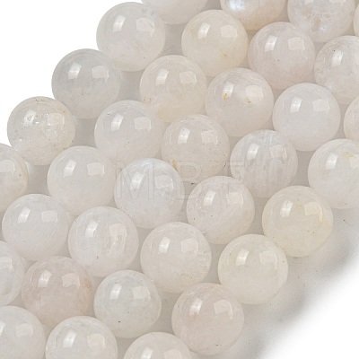 Natural Rainbow Moonstone Beads Strands X-G-C068-8mm-1A-1