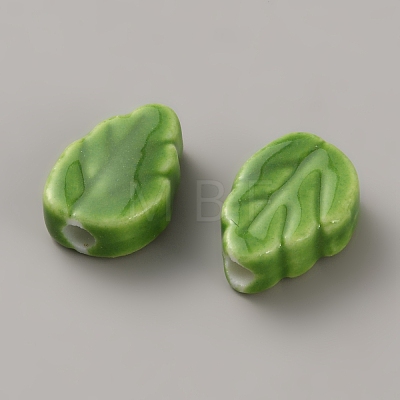 Handmade Porcelain Beads PORC-CJC0009-05C-1