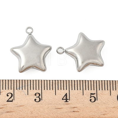 304 Stainless Steel Pendants STAS-S186-01A-P-1