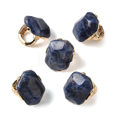Natural Sodalite & Alloy Finger Rings for Women RJEW-G375-01G-07-1
