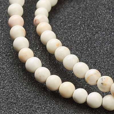 Nrtutal Magnesite Beads Strands G-L575-01A-1