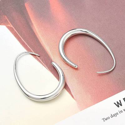 304 Stainless Steel Teardrop Dangle Earrings EJEW-Z158-01P-1