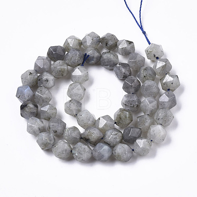 Natural Labradorite Beads Strands G-R465-33B-1