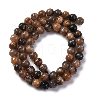 Natural Black Moonstone Beads Strands G-A219-A01-02-1