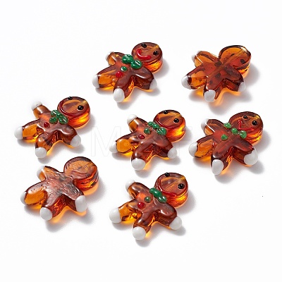 Handmade Lampwork Beads Strands LAMP-N021-025-1