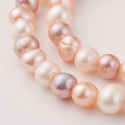Natural Cultured Freshwater Pearl Beads Strands PEAR-G007-10-01-1