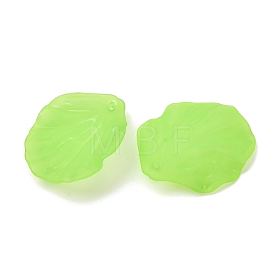 Frosted Acrylic Pendants AC-CBA1E6C-01A-1