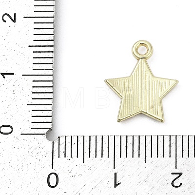 Independence Day Alloy Enamel Charms PALLOY-V001-07A-1