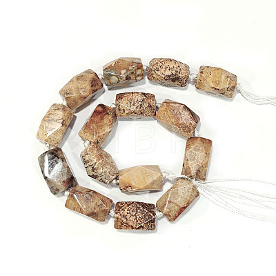 Natural Fossil Coral Beads Strands G-F554-09-1