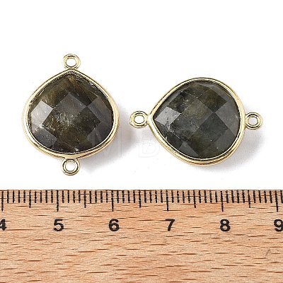 Brass Connector Charms G-H323-01G-10-1