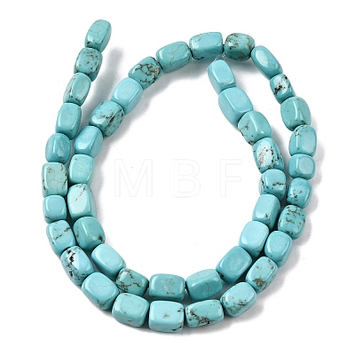 Natural Magnesite Beads Strands G-P598-D01-01-1