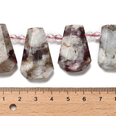 Natural Plum Blossom Tourmaline Beads Strands G-H078-A01-02-1