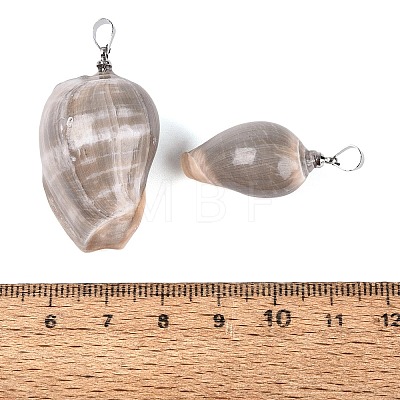 Brass & Natural Oliva Shell Pendants SHEL-Q029-22P-1