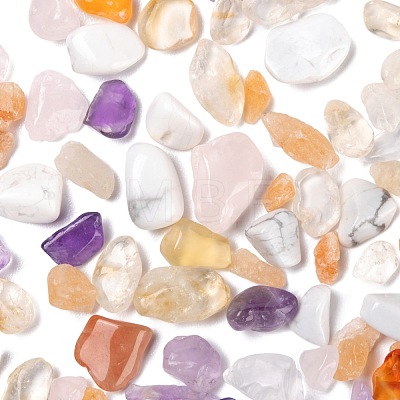 150G 5 Style Natural Mixed Gemstone Chip Beads G-FS0001-09-1